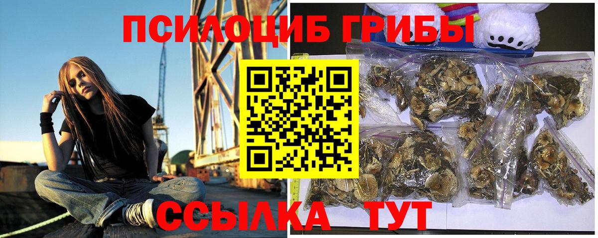 Галлюциногенные грибы Magic Shrooms  Вход с VPN  где купить   Арзамас 