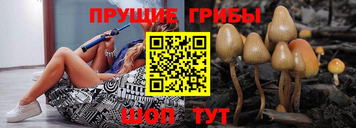 Псилоцибиновые грибы Magic Shrooms Арзамас